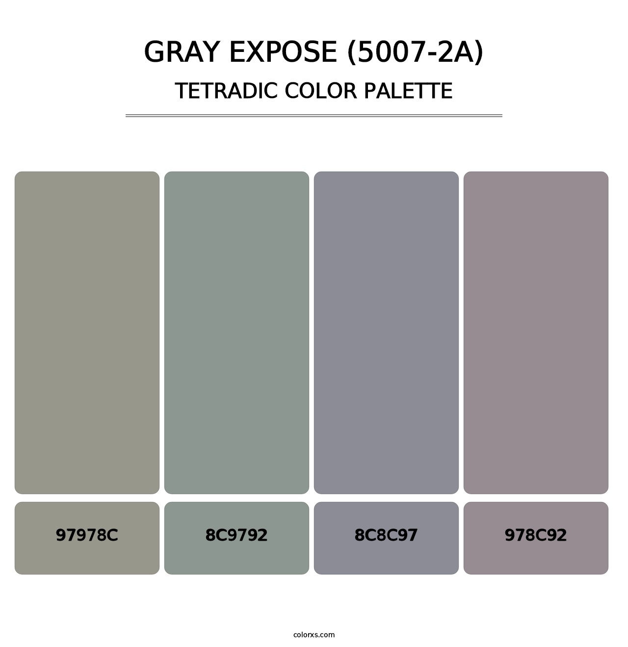 Gray Expose (5007-2A) - Tetradic Color Palette