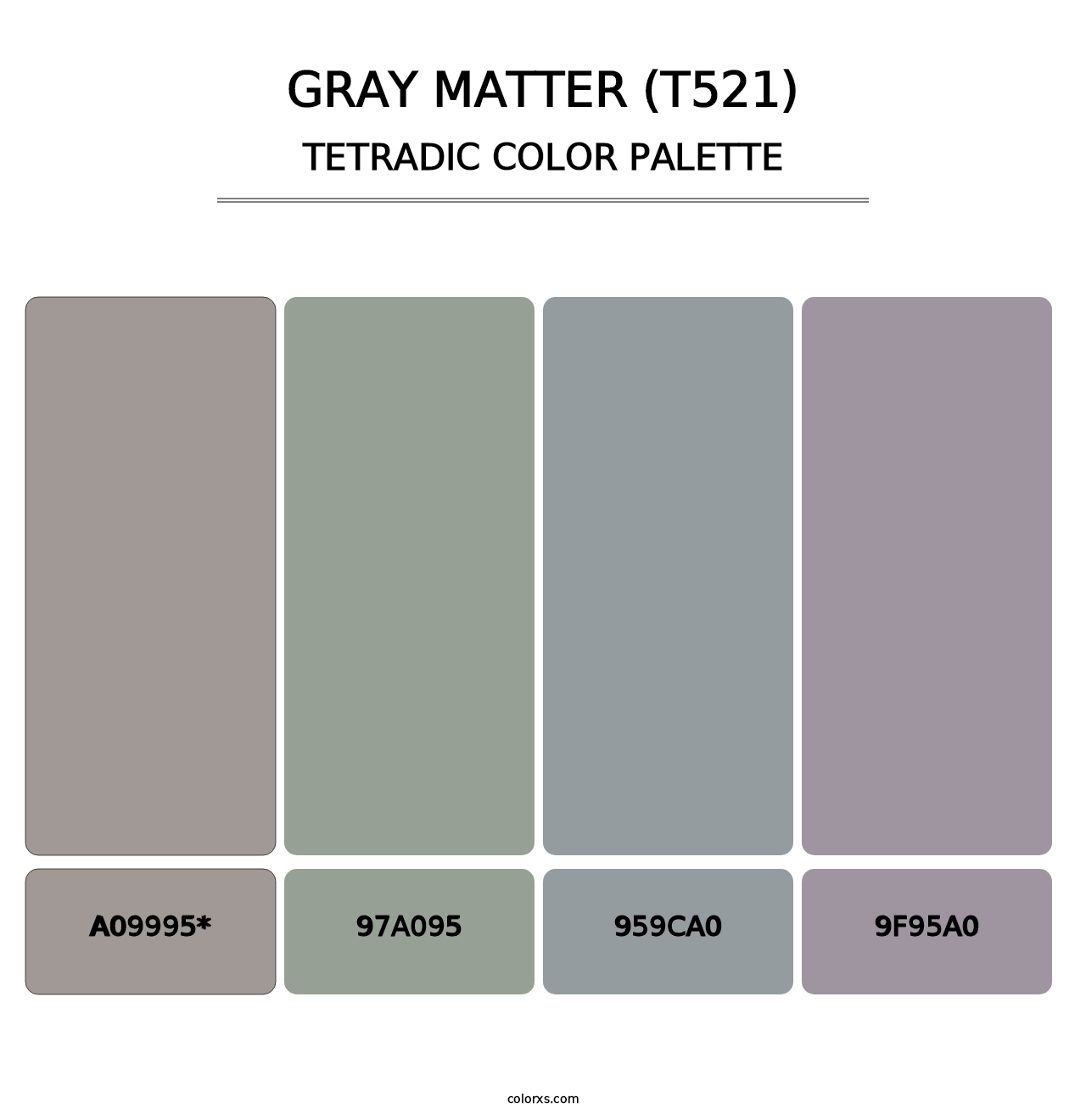 Gray Matter (T521) - Tetradic Color Palette