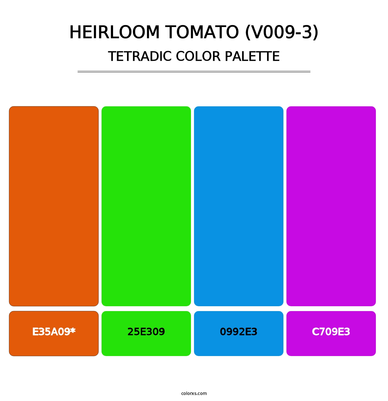 Heirloom Tomato (V009-3) - Tetradic Color Palette