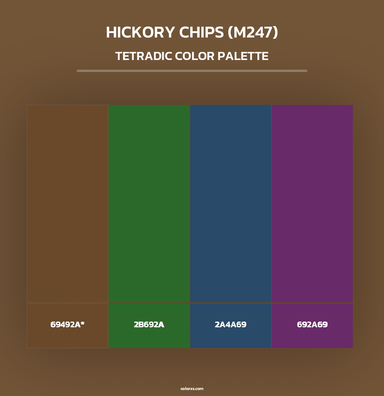 Hickory Chips (M247) - Tetradic Color Palette