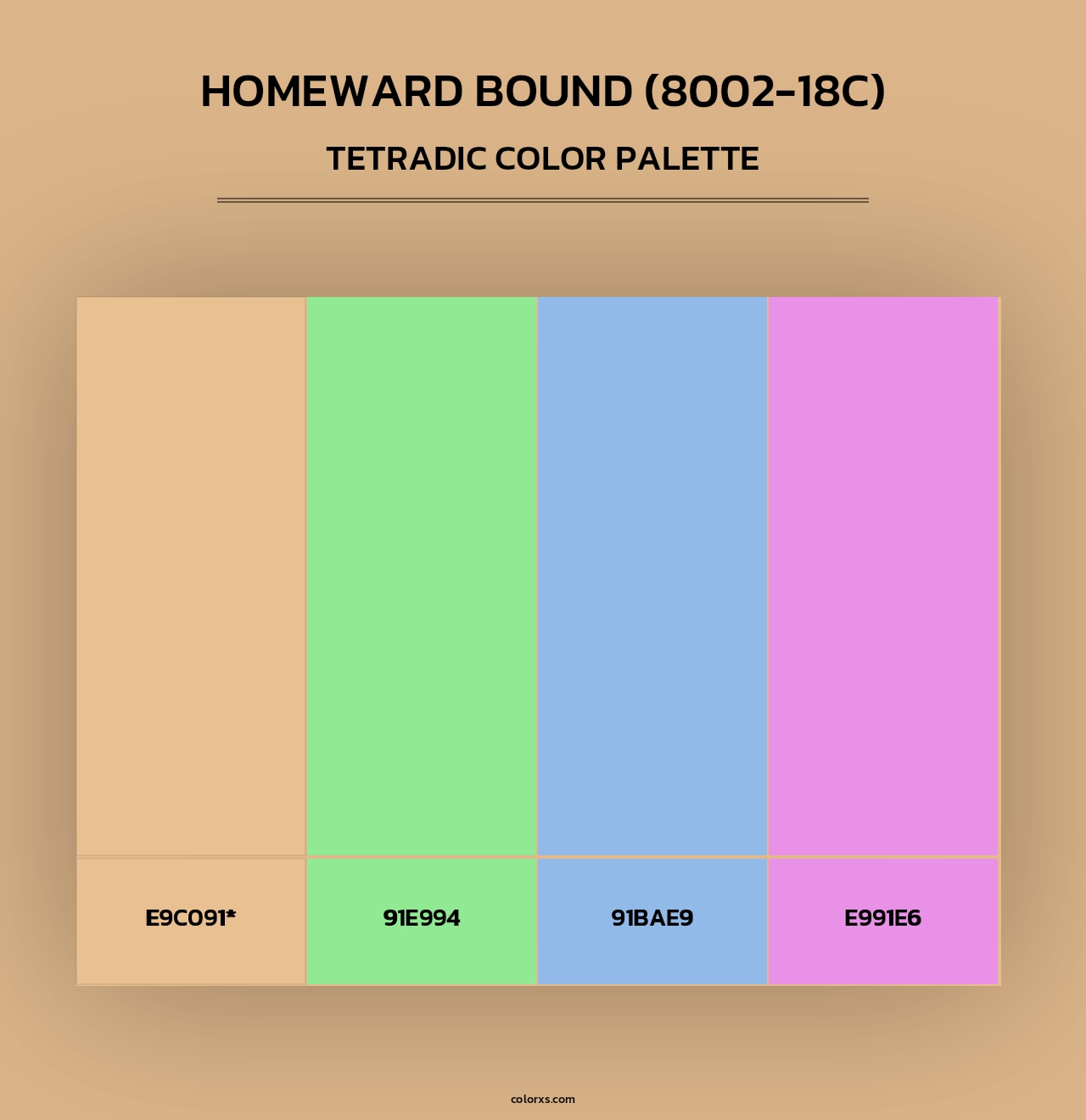 Homeward Bound (8002-18C) - Tetradic Color Palette