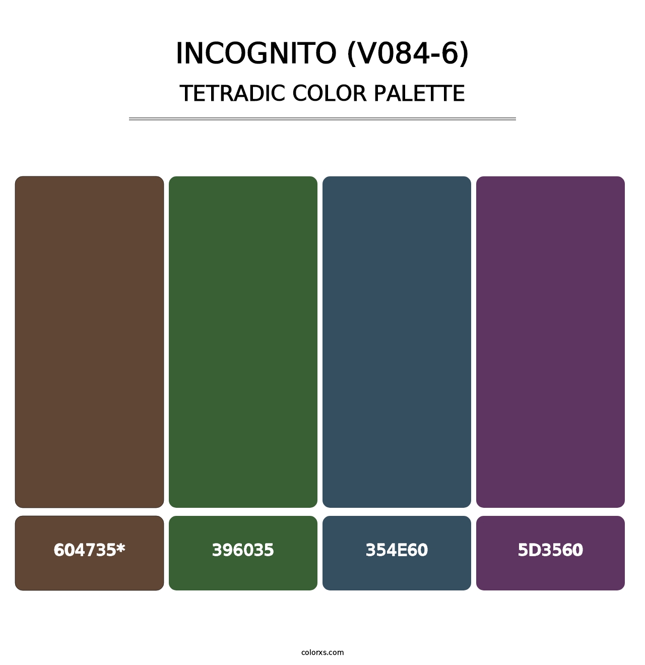Incognito (V084-6) - Tetradic Color Palette