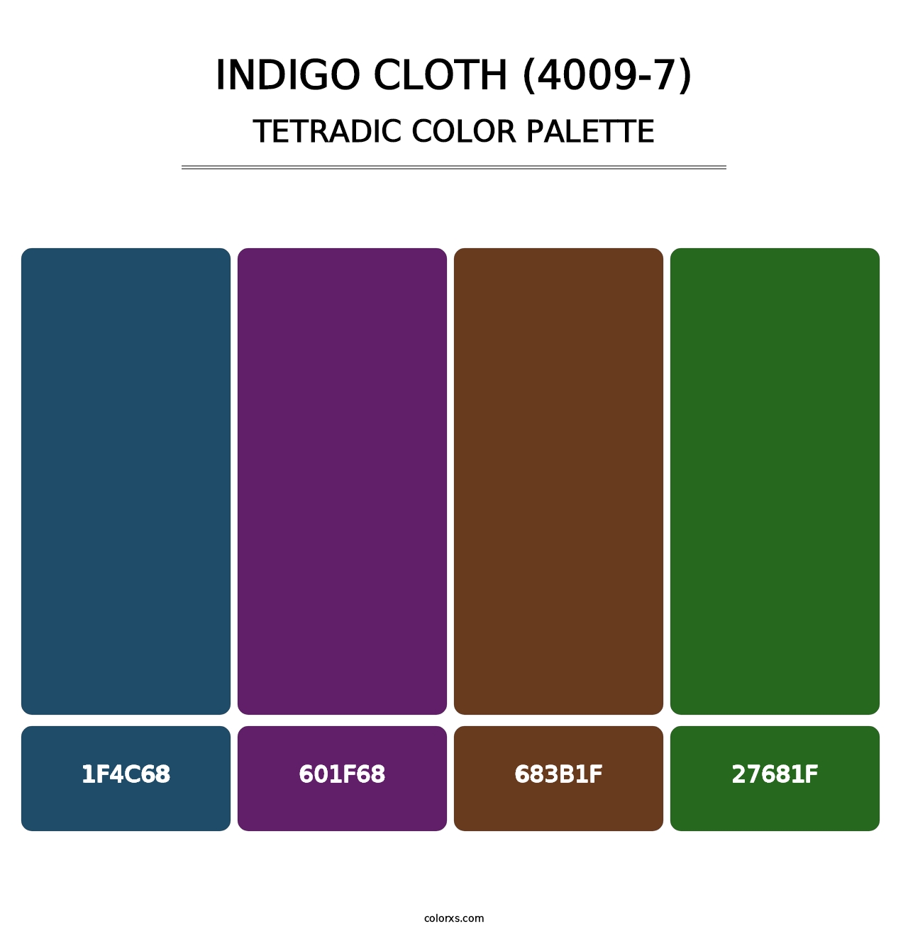 Indigo Cloth (4009-7) - Tetradic Color Palette