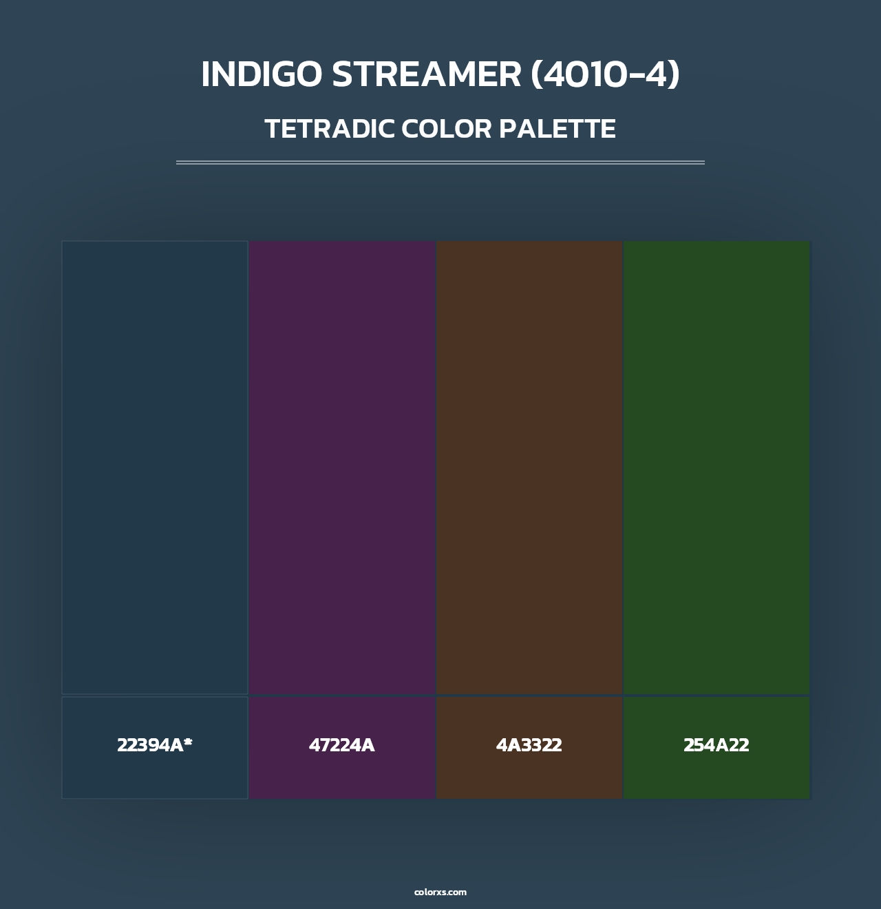Indigo Streamer (4010-4) - Tetradic Color Palette