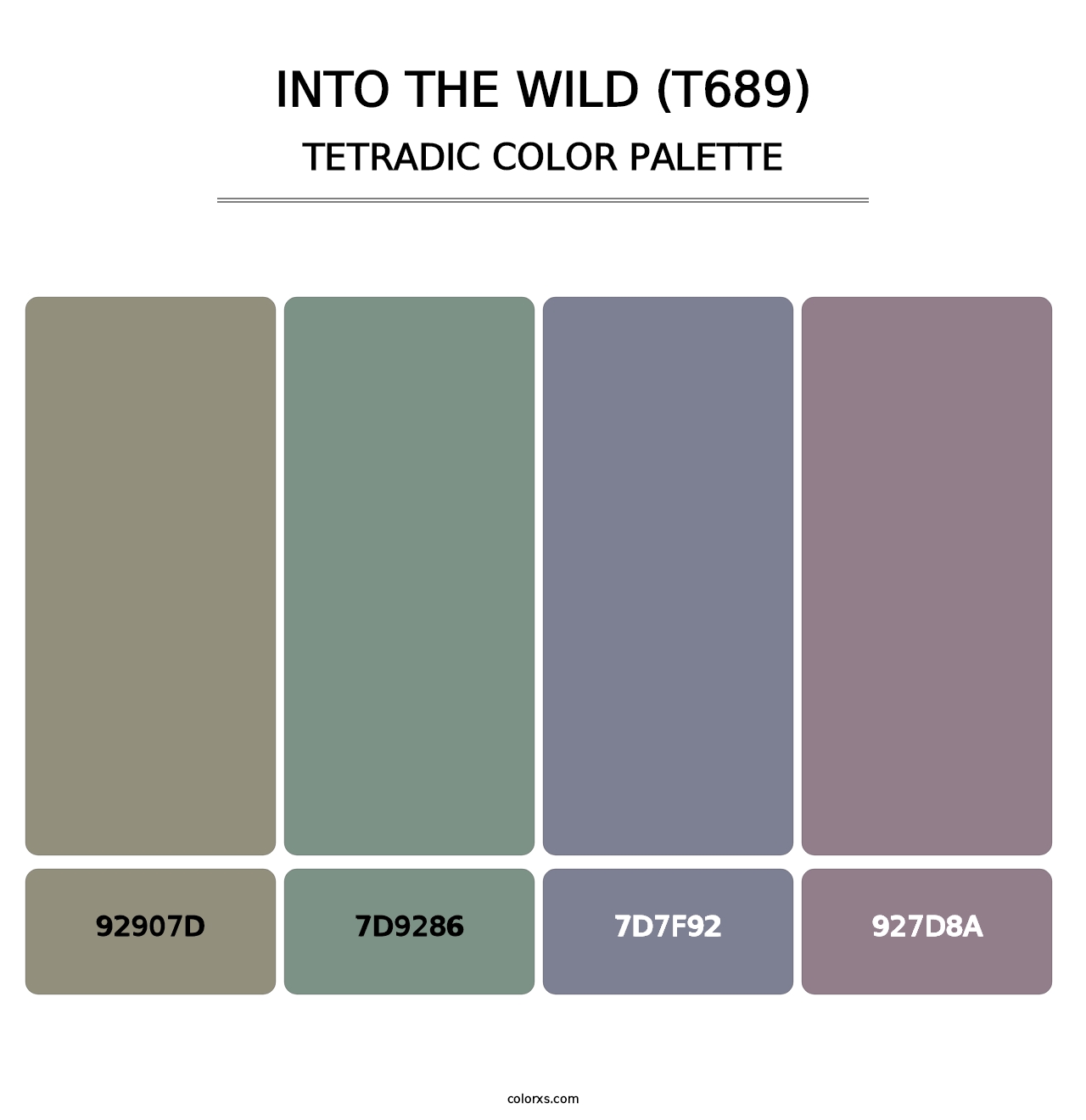 Into the Wild (T689) - Tetradic Color Palette