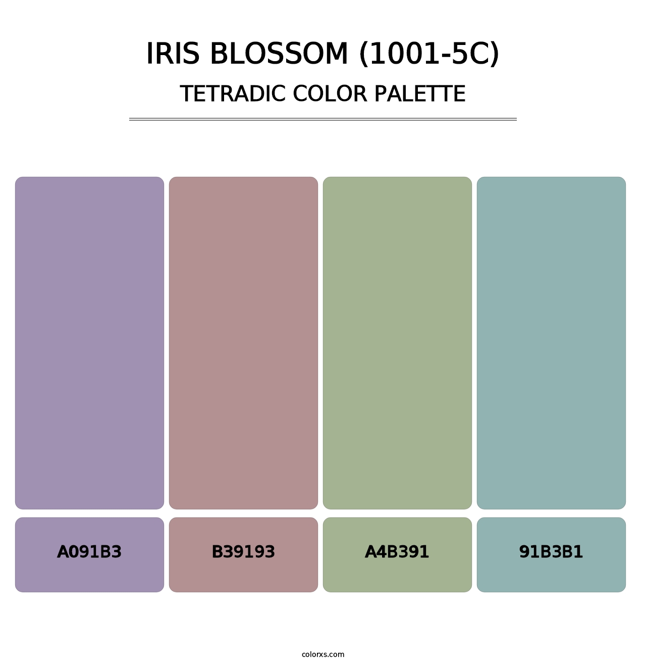 Iris Blossom (1001-5C) - Tetradic Color Palette