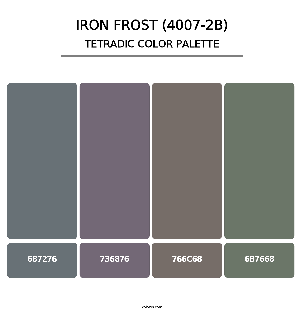 Iron Frost (4007-2B) - Tetradic Color Palette