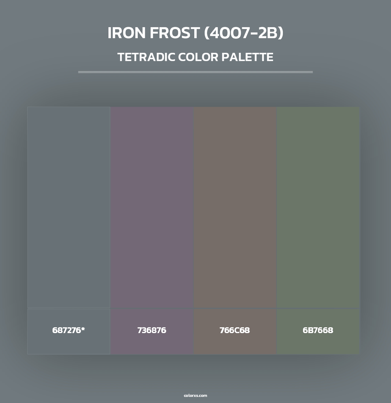 Iron Frost (4007-2B) - Tetradic Color Palette
