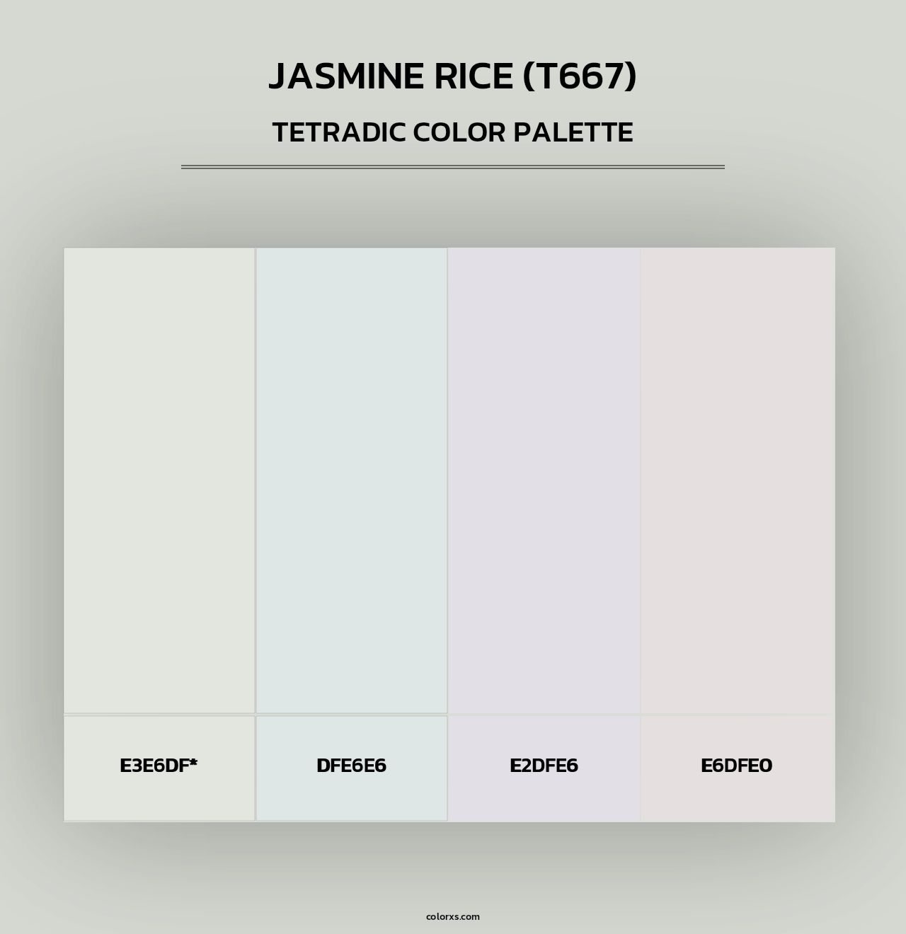 Jasmine Rice (T667) - Tetradic Color Palette