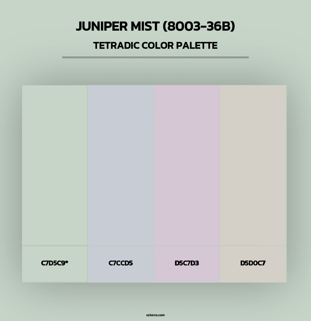 Juniper Mist (8003-36B) - Tetradic Color Palette