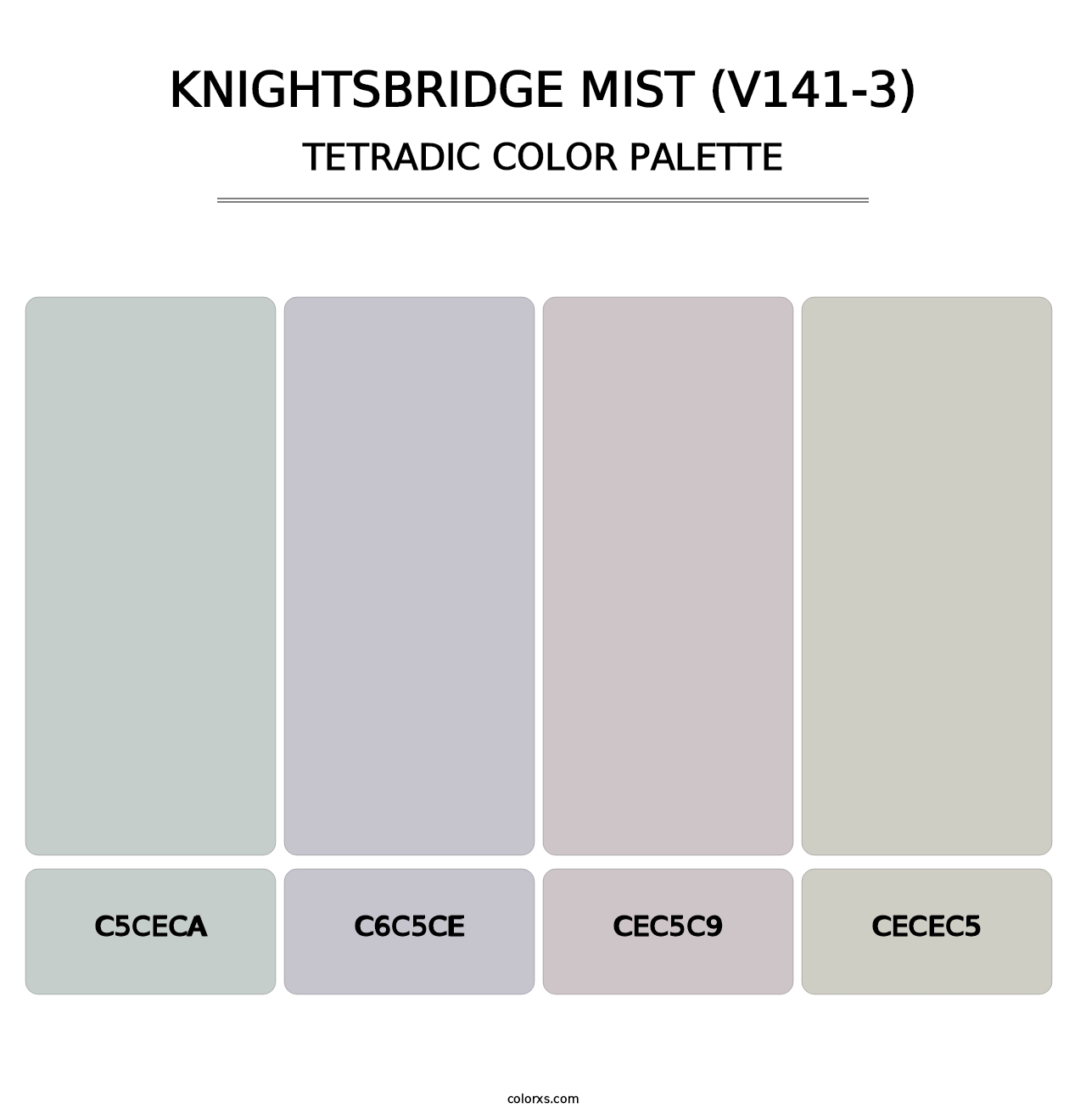 Knightsbridge Mist (V141-3) - Tetradic Color Palette