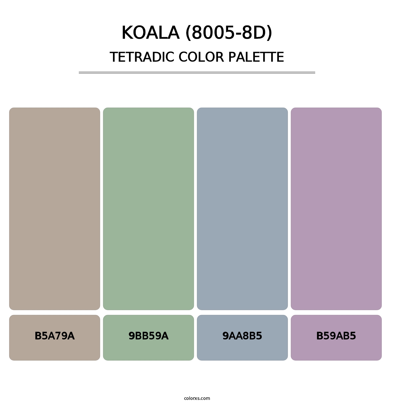 Koala (8005-8D) - Tetradic Color Palette