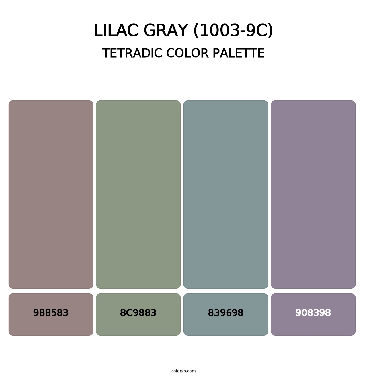 Lilac Gray (1003-9C) - Tetradic Color Palette
