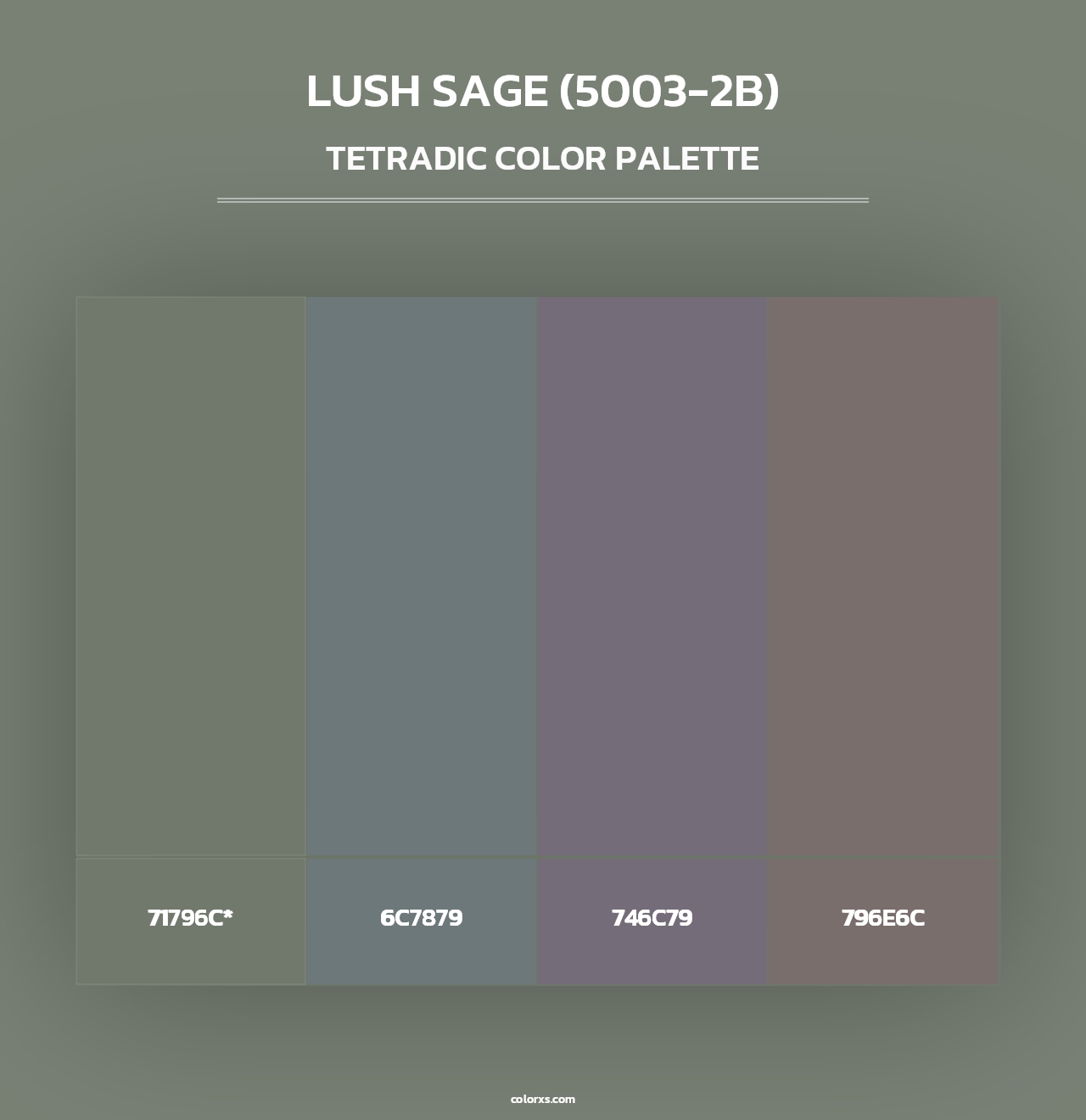 Lush Sage (5003-2B) - Tetradic Color Palette