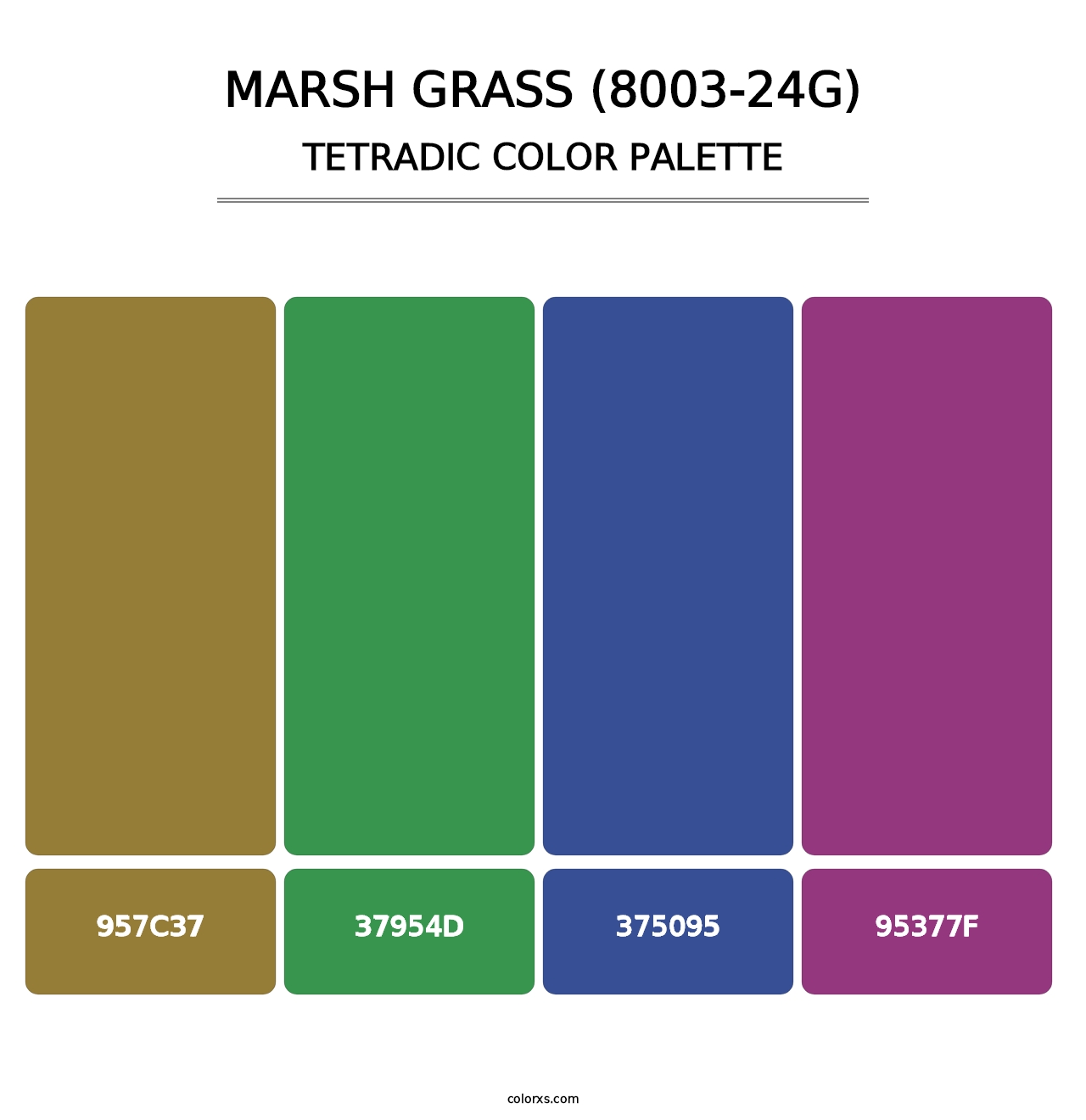 Marsh Grass (8003-24G) - Tetradic Color Palette