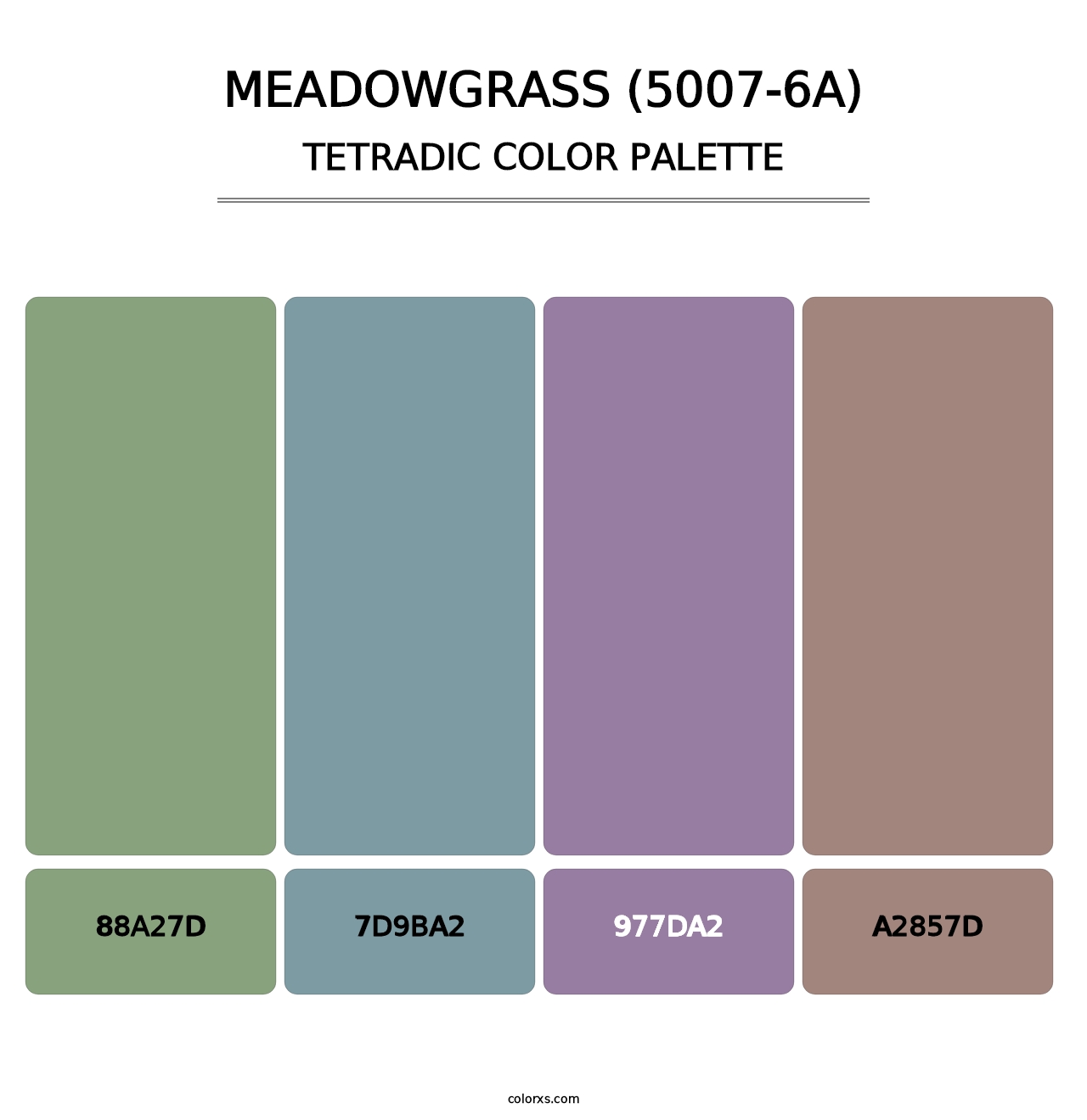Meadowgrass (5007-6A) - Tetradic Color Palette