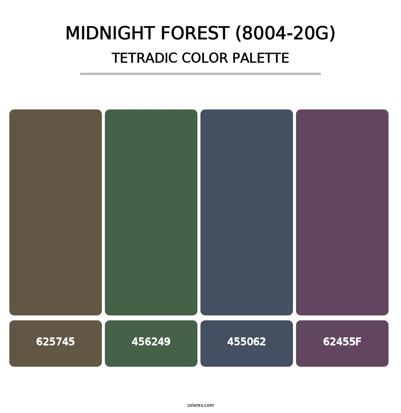 Midnight Forest (8004-20G) - Tetradic Color Palette