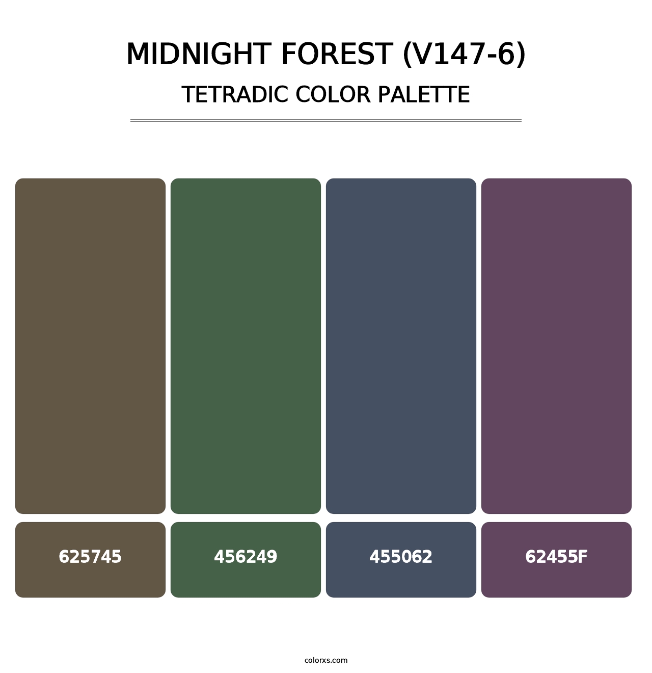 Midnight Forest (V147-6) - Tetradic Color Palette