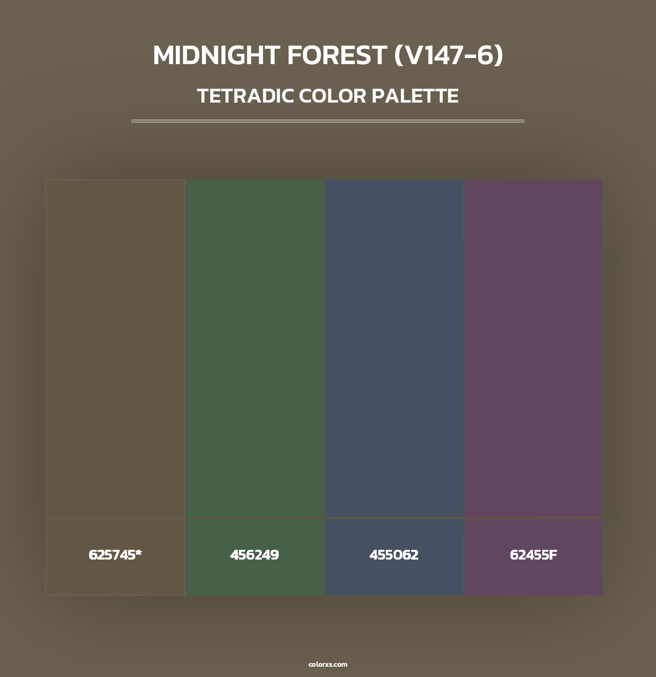 Midnight Forest (V147-6) - Tetradic Color Palette