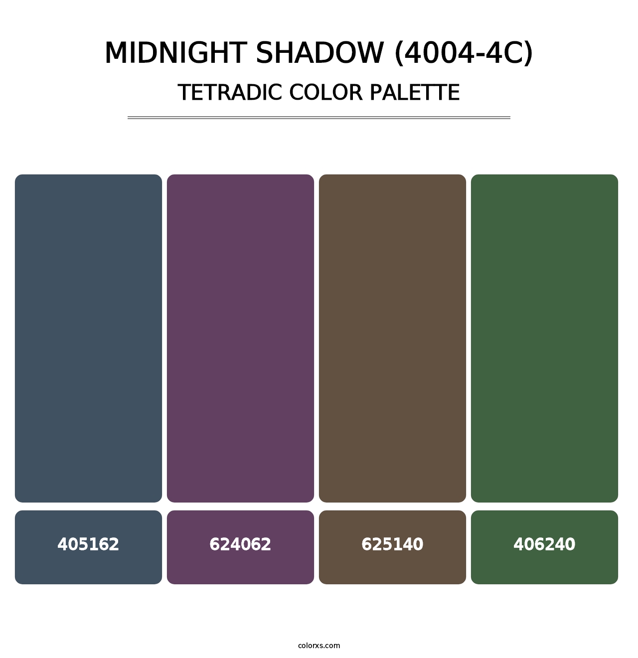 Midnight Shadow (4004-4C) - Tetradic Color Palette