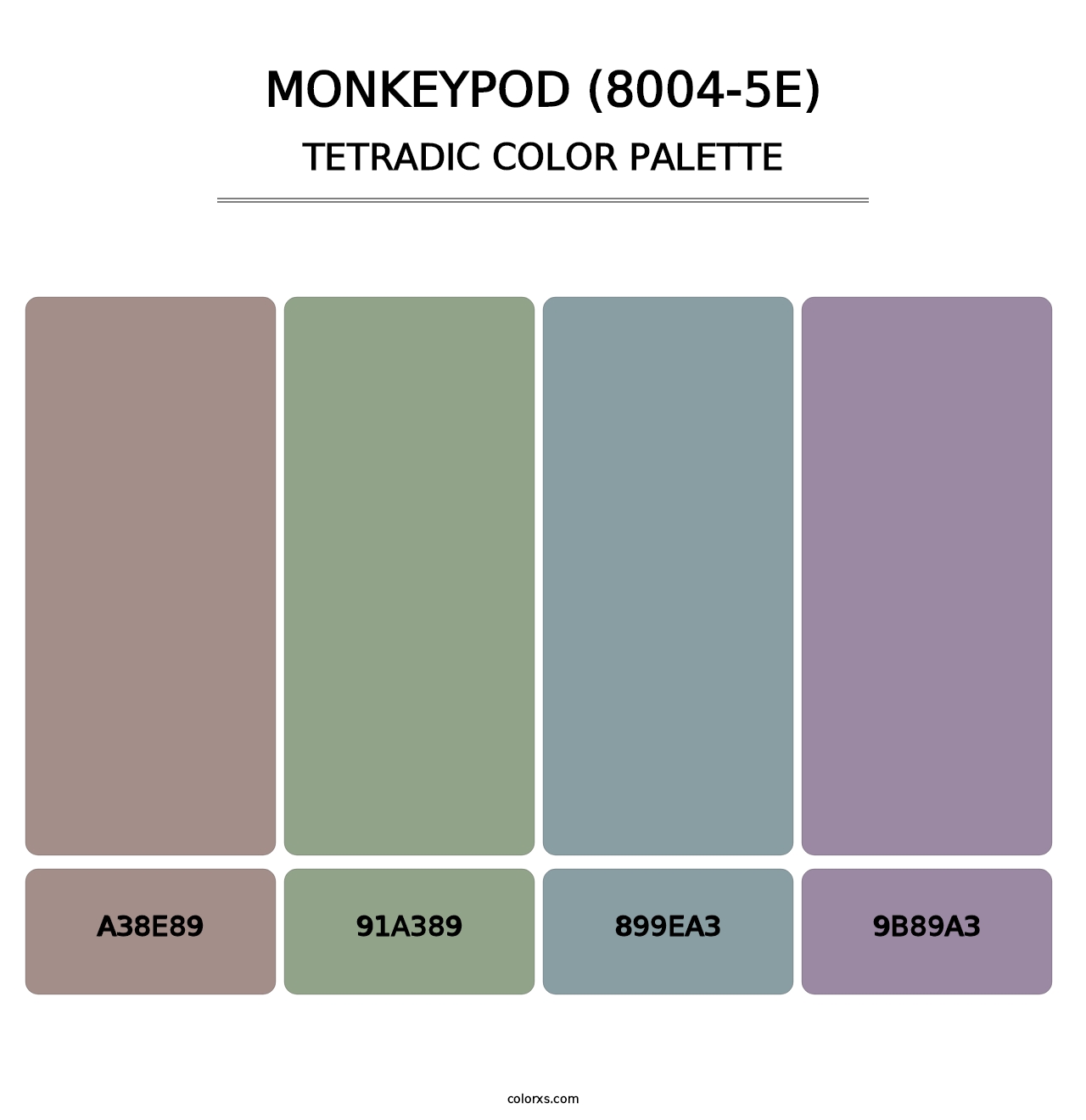 Monkeypod (8004-5E) - Tetradic Color Palette