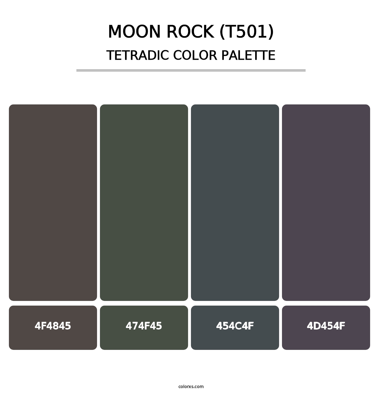 Moon Rock (T501) - Tetradic Color Palette
