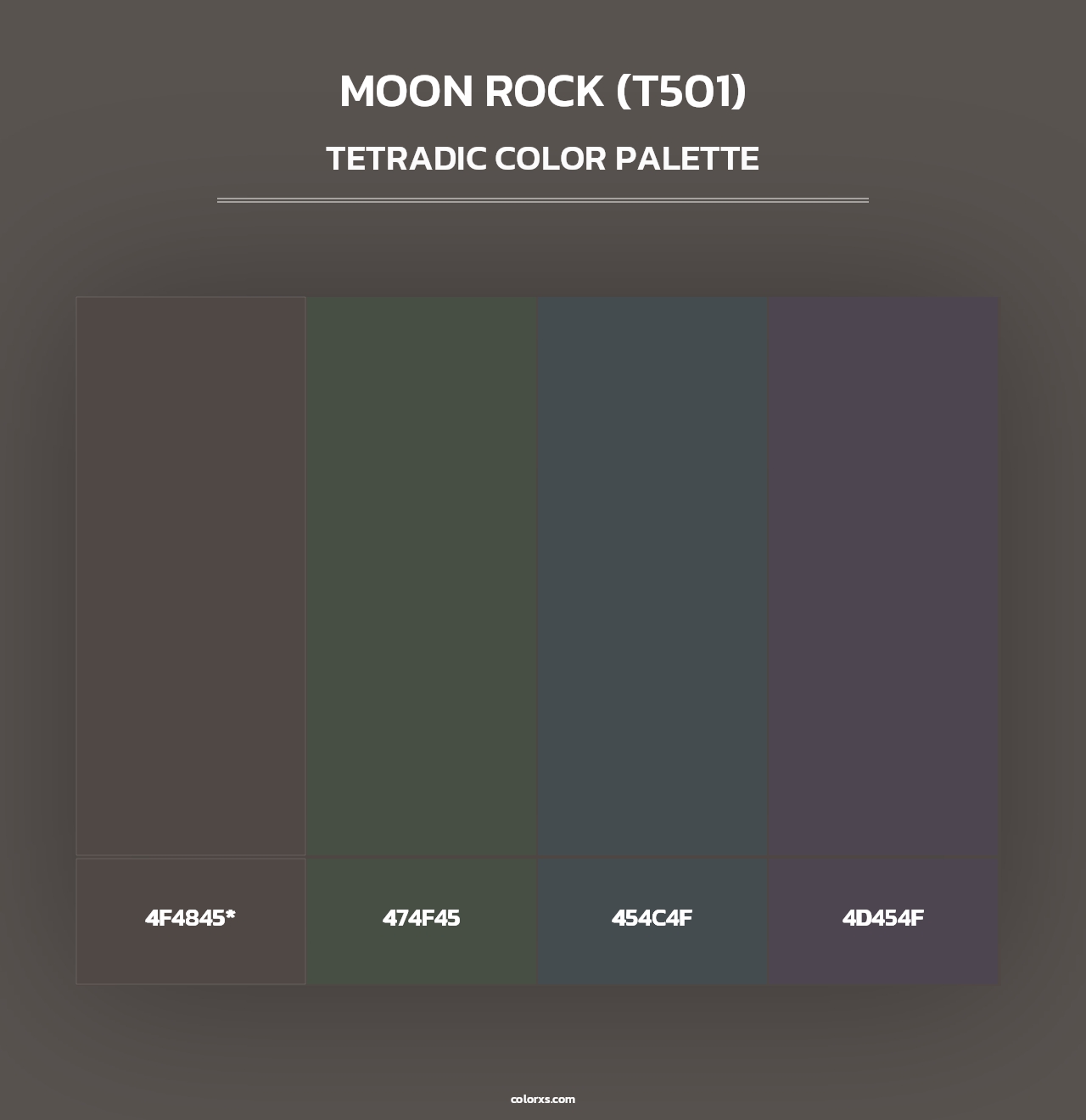 Moon Rock (T501) - Tetradic Color Palette