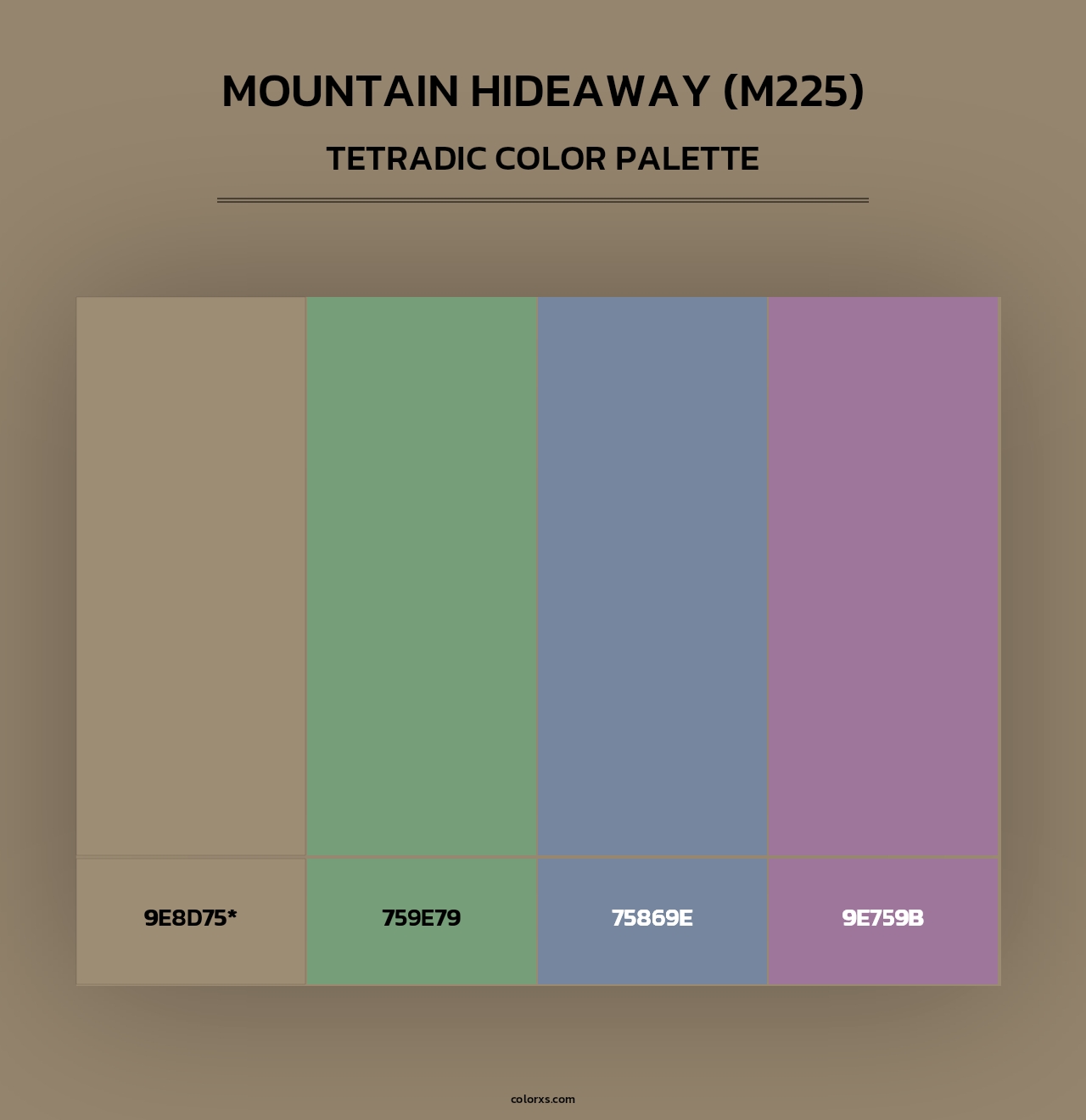 Mountain Hideaway (M225) - Tetradic Color Palette