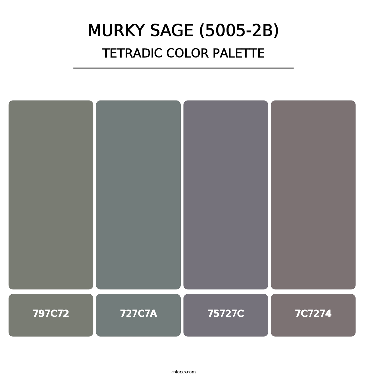Murky Sage (5005-2B) - Tetradic Color Palette