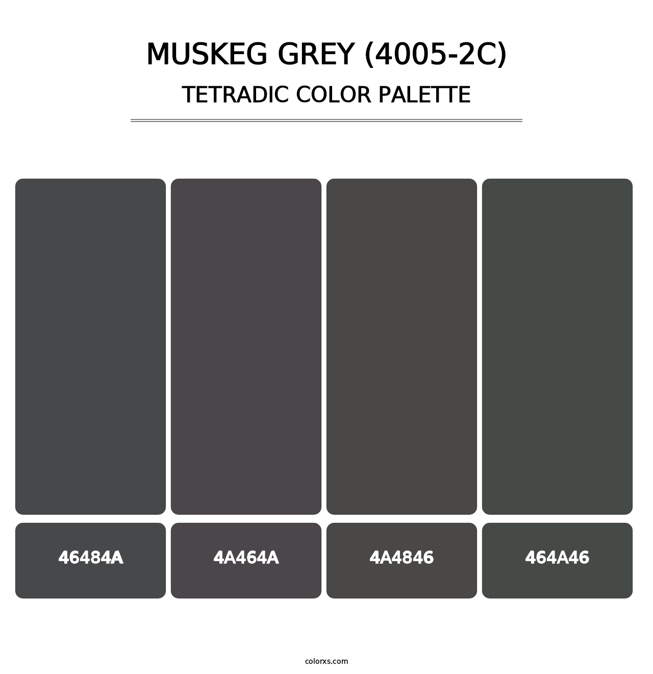 Muskeg Grey (4005-2C) - Tetradic Color Palette