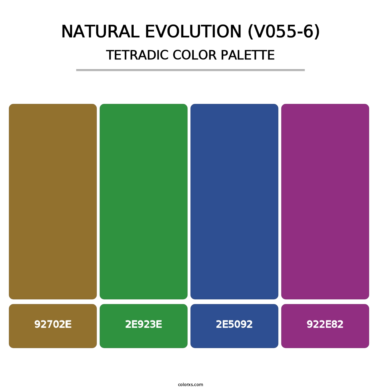 Natural Evolution (V055-6) - Tetradic Color Palette