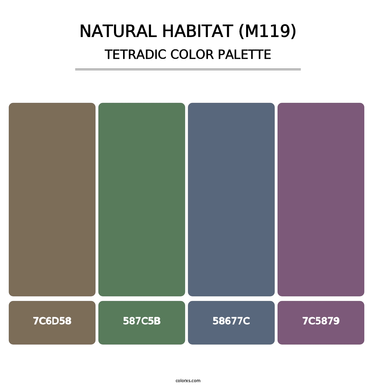 Natural Habitat (M119) - Tetradic Color Palette