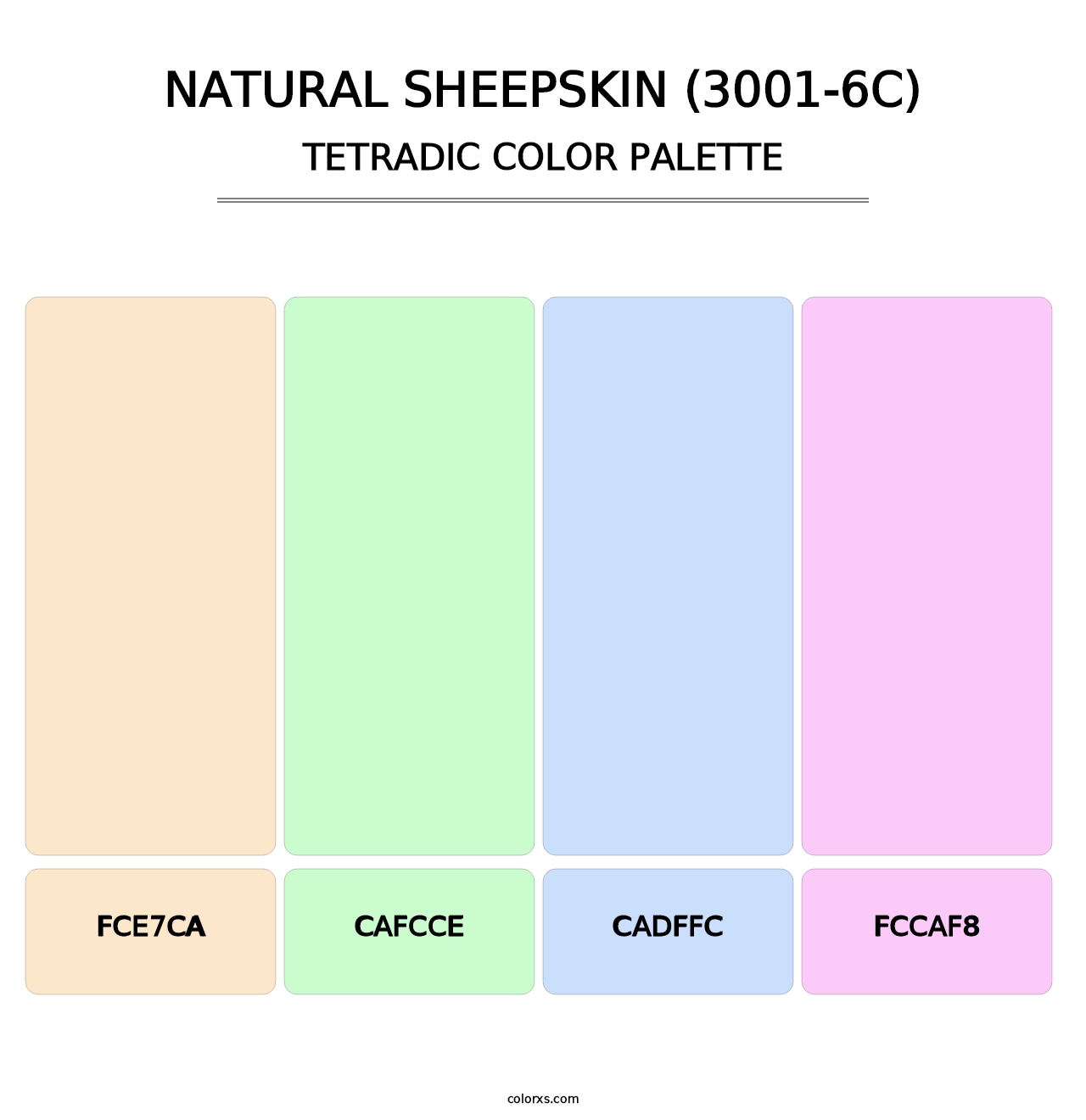 Natural Sheepskin (3001-6C) - Tetradic Color Palette