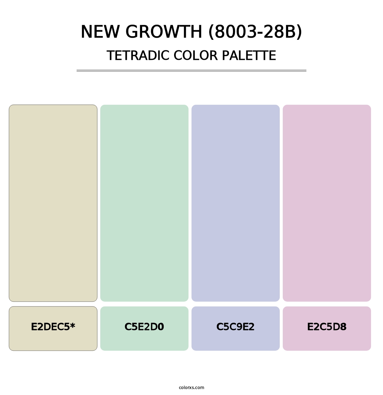 New Growth (8003-28B) - Tetradic Color Palette