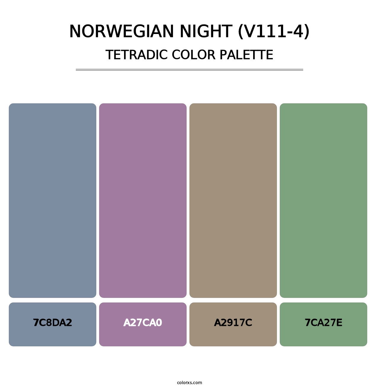 Norwegian Night (V111-4) - Tetradic Color Palette