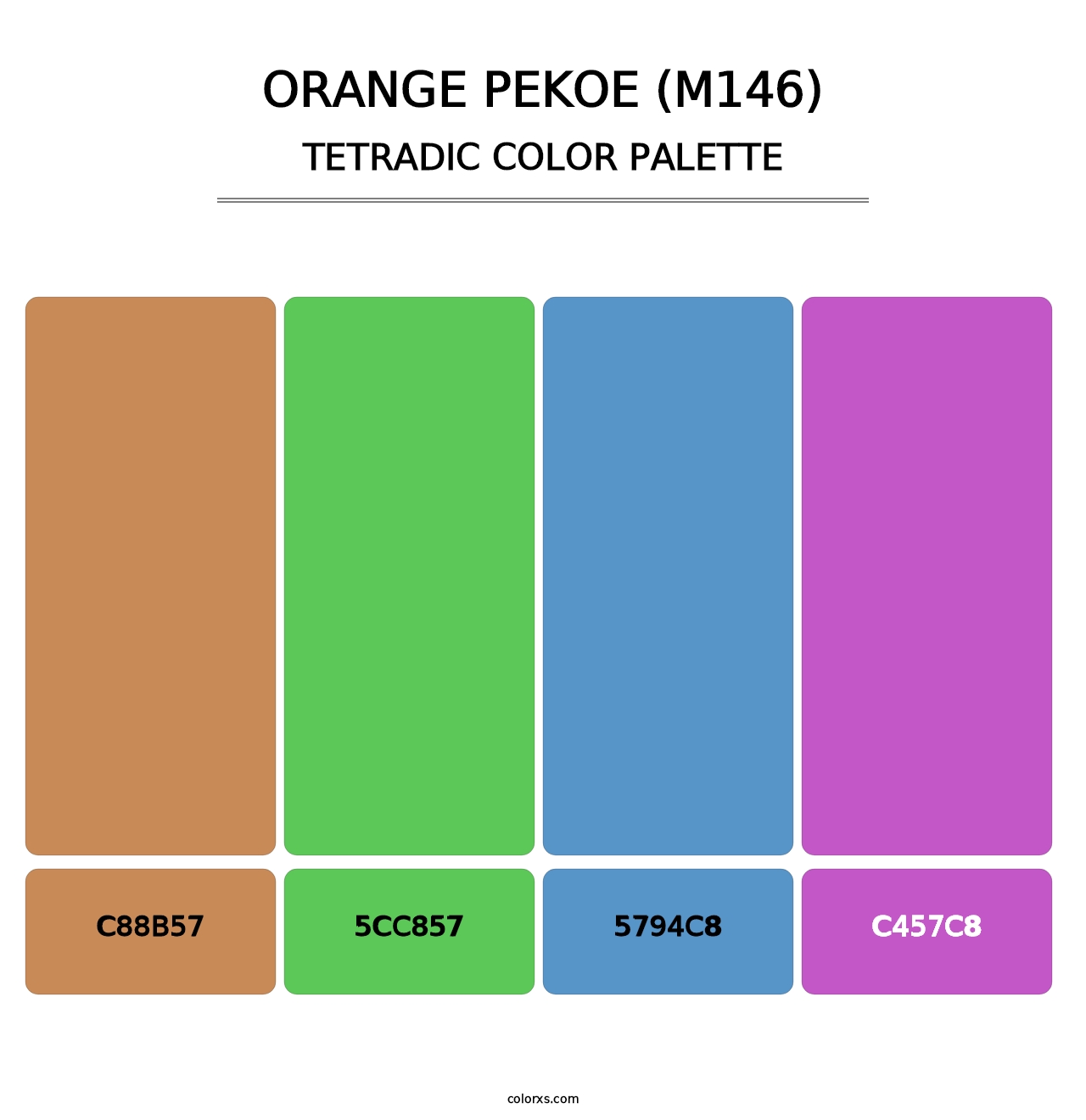 Orange Pekoe (M146) - Tetradic Color Palette