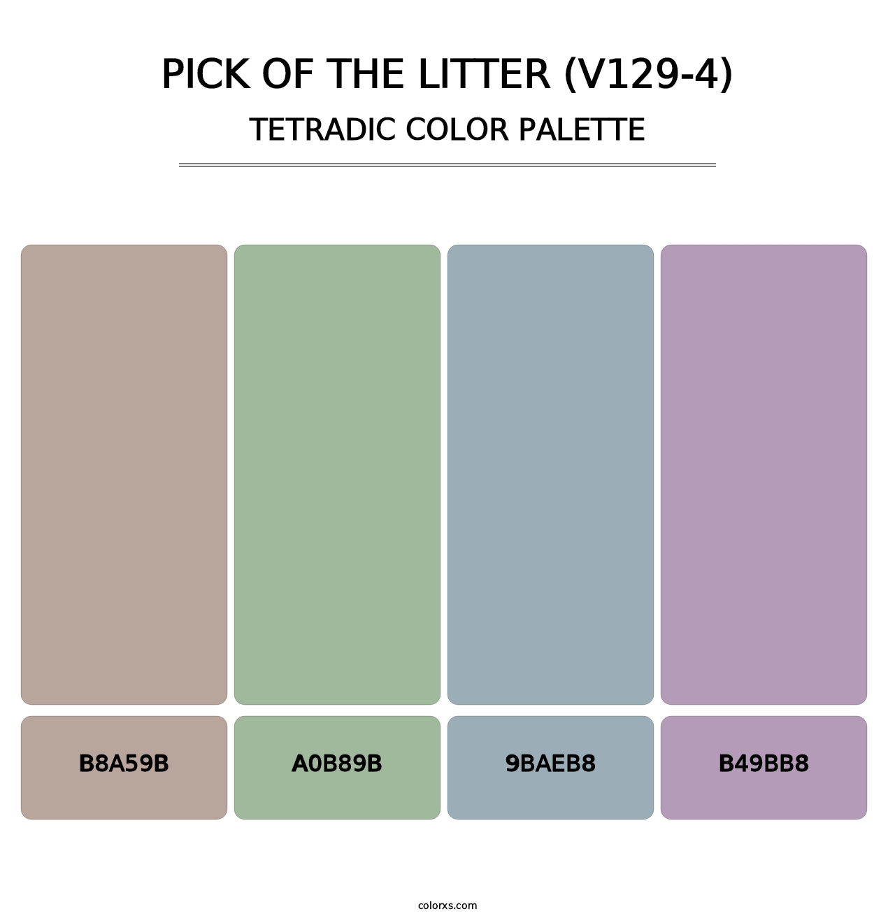 Pick of the Litter (V129-4) - Tetradic Color Palette