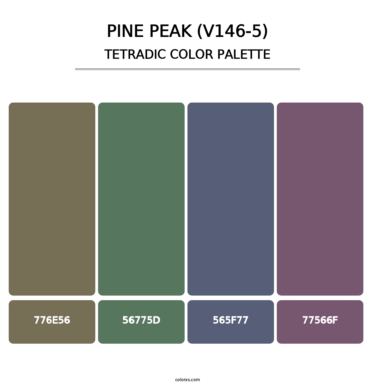 Pine Peak (V146-5) - Tetradic Color Palette