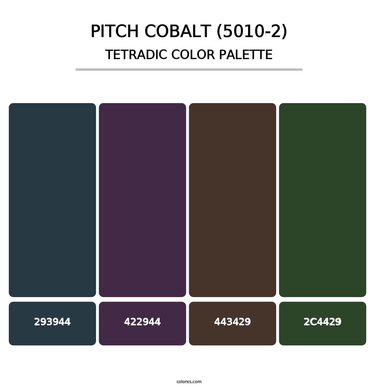 Pitch Cobalt (5010-2) - Tetradic Color Palette