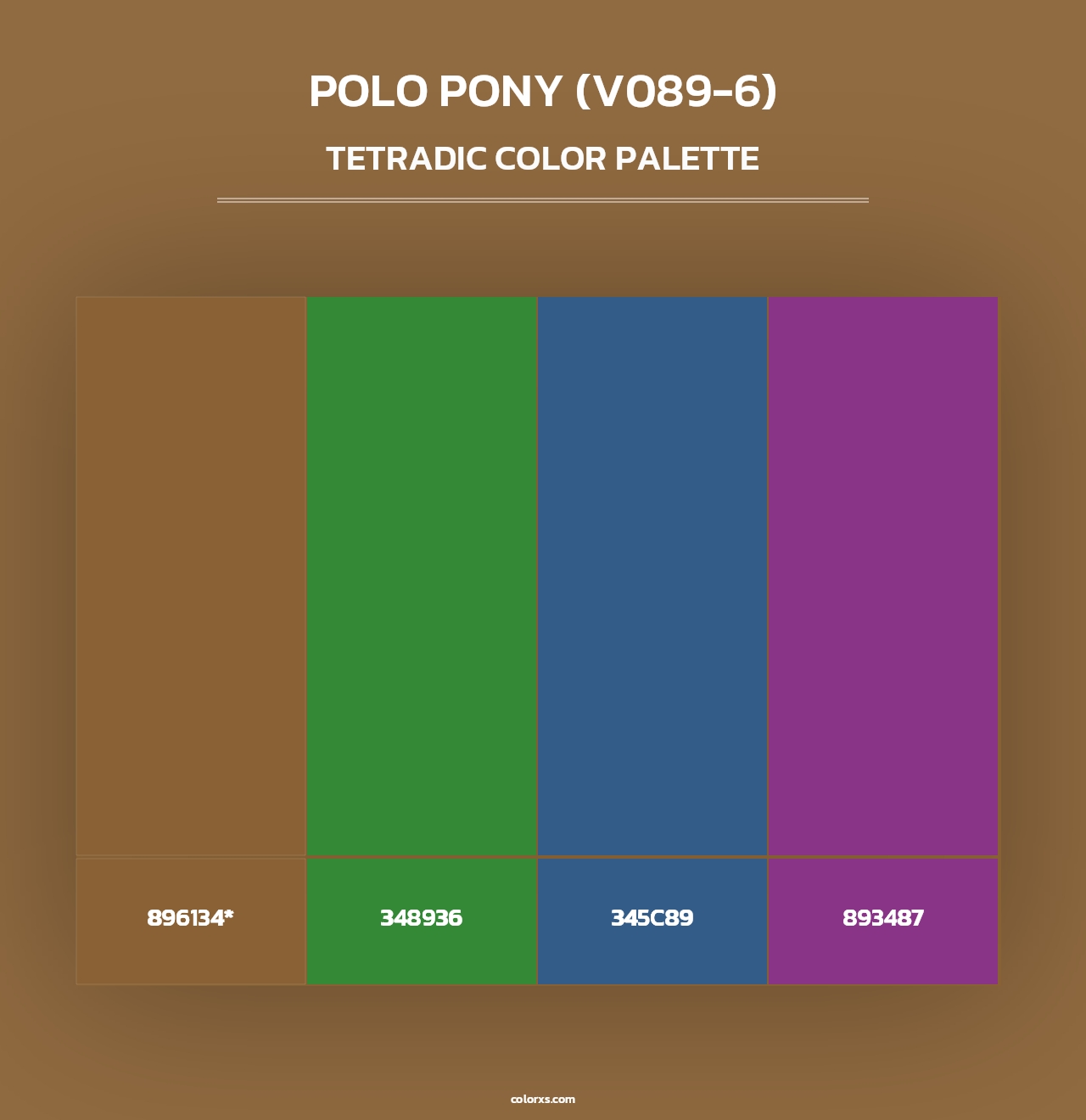 Polo Pony (V089-6) - Tetradic Color Palette