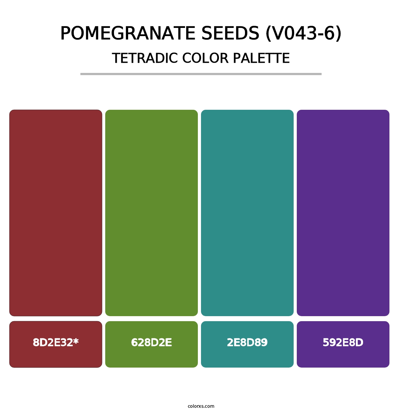 Pomegranate Seeds (V043-6) - Tetradic Color Palette