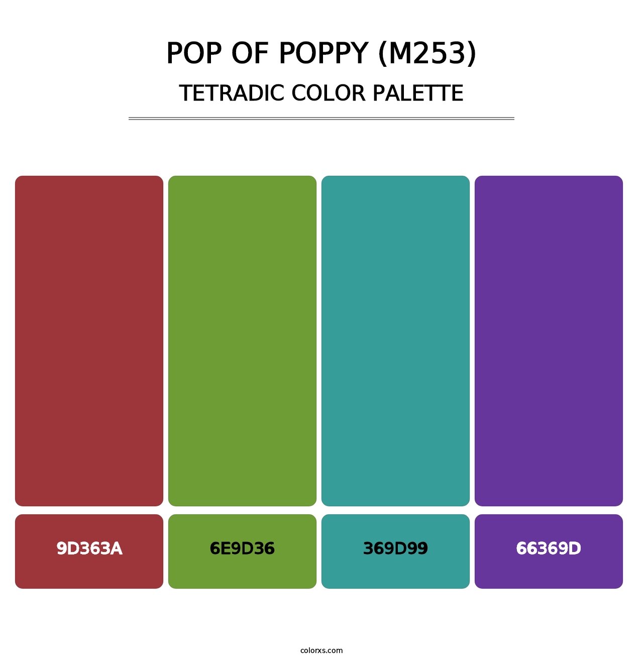 Pop of Poppy (M253) - Tetradic Color Palette