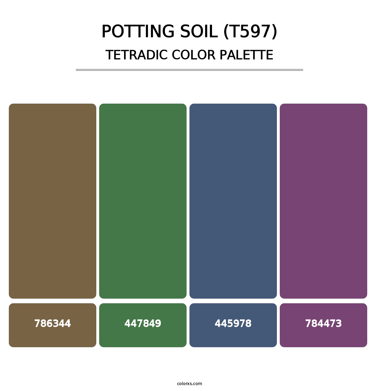 Potting Soil (T597) - Tetradic Color Palette