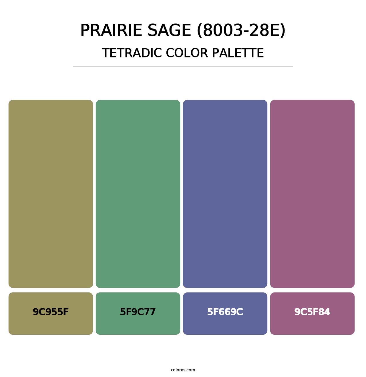 Prairie Sage (8003-28E) - Tetradic Color Palette