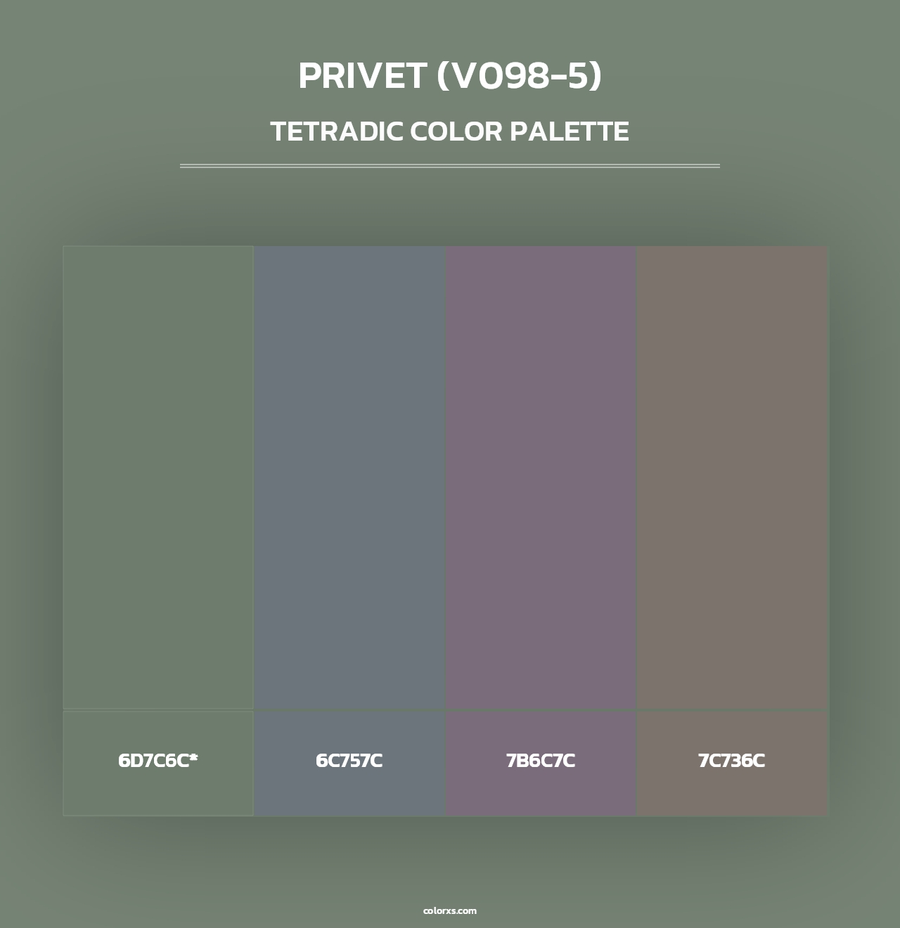 Privet (V098-5) - Tetradic Color Palette