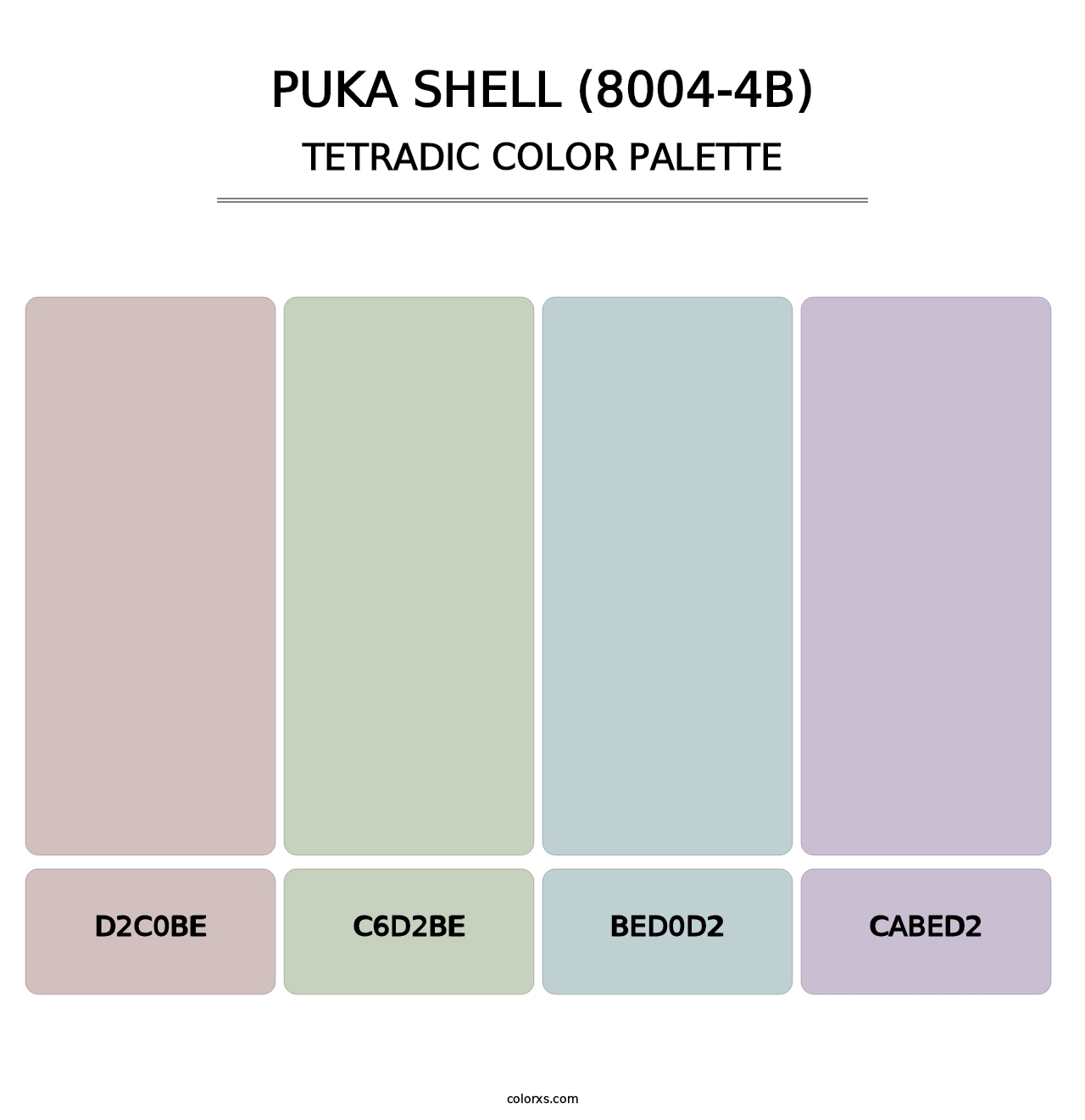 Puka Shell (8004-4B) - Tetradic Color Palette