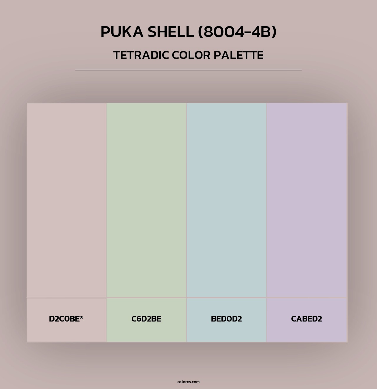 Puka Shell (8004-4B) - Tetradic Color Palette