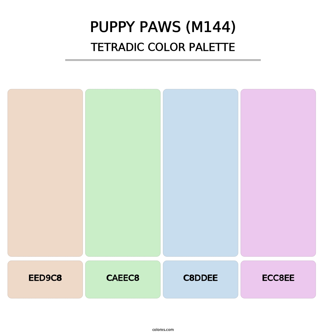 Puppy Paws (M144) - Tetradic Color Palette