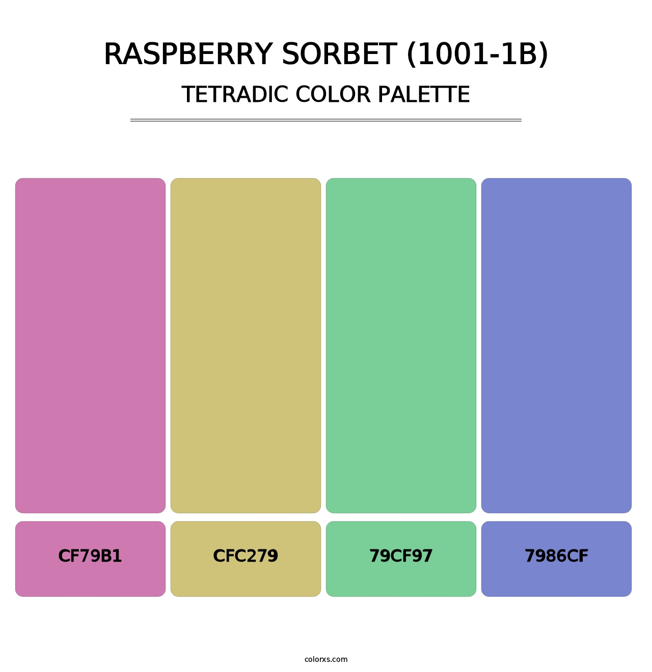 Raspberry Sorbet (1001-1B) - Tetradic Color Palette