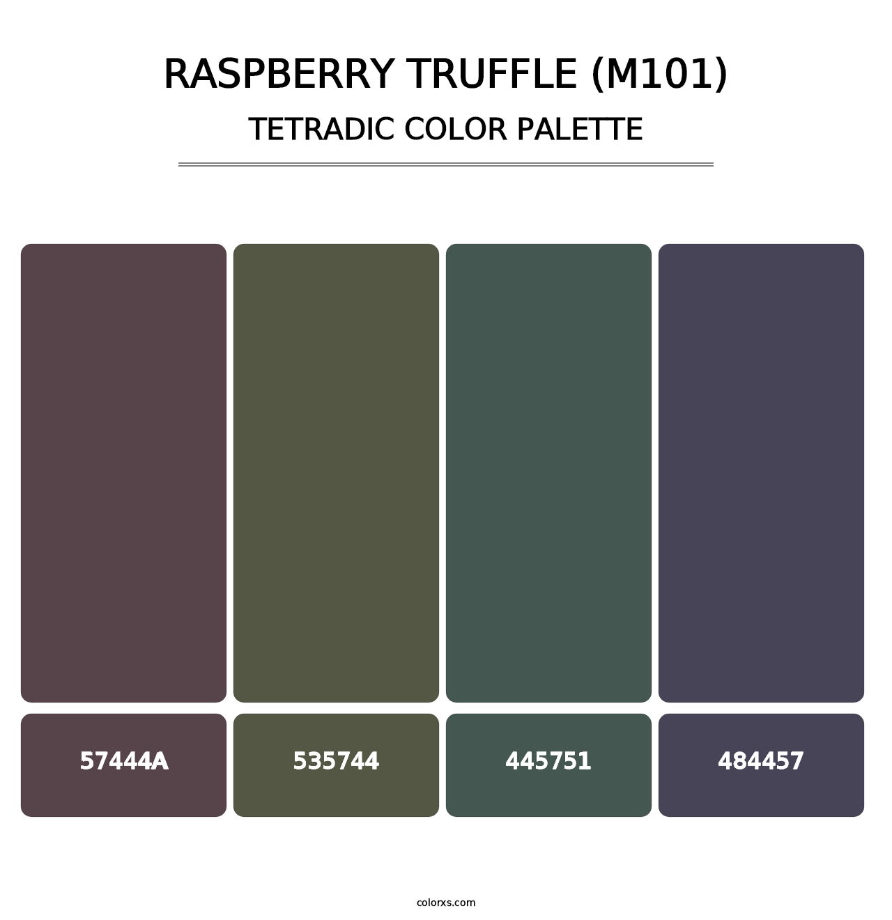Raspberry Truffle (M101) - Tetradic Color Palette